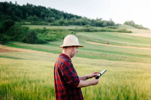 Agriculteur-roumain Recruter un Agriculteur en Travailleur depuis la Roumanie : Tout Ce Qu’il Faut Savoir