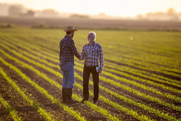 ingenieur-agronome-roumain-dans-le-champ Recruter des ingénieurs agronomes roumains en intérim en Europe