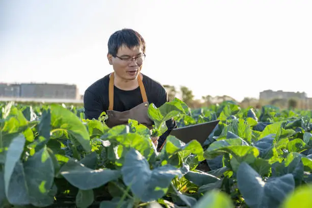 Ingenieur-Agronome-detache-2026 Recruter Ingénieur Agronome détaché depuis la Roumanie