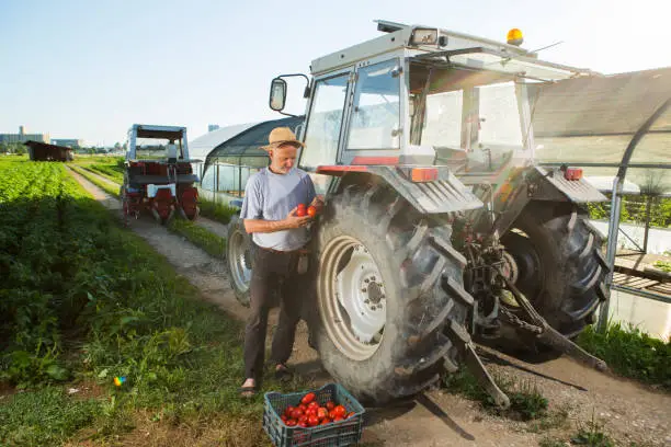 Ouvriers-Agricoles-Roumains Recruter des Ouvriers Agricoles Roumains en Travail Détaché en France