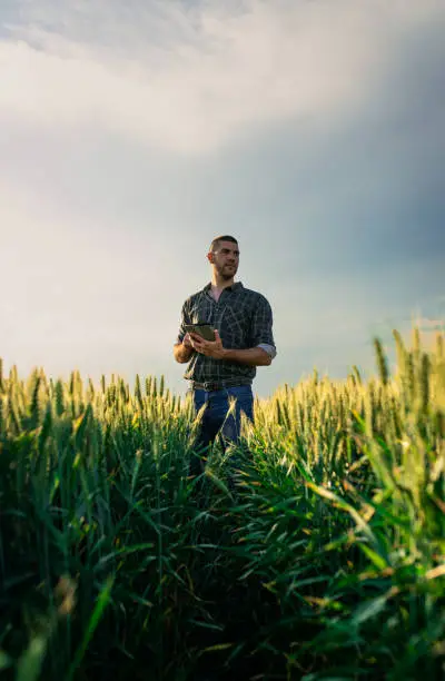 ingénieurs agronomes roumains