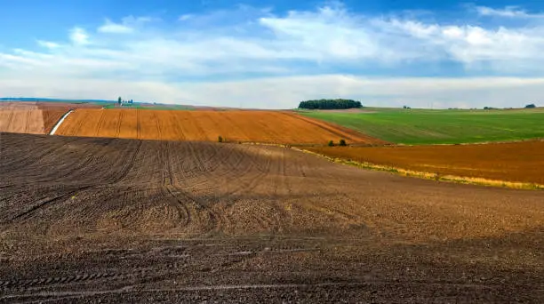 travailleurs-detaches-roumains-dans-lagriculture-europe Les travailleurs détachés roumains dans l'agriculture en Europe